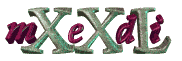 mediXXL.com Gerhard Dilbat radiologo